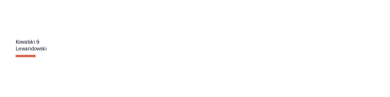 Nowak & Wiśniewski logo